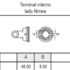 Terminal Interno Fêmea Oval Serie 1000 Aemco CW12